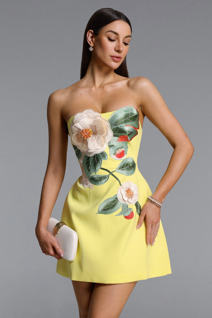 Tanith | Embroidered Strapless Dress