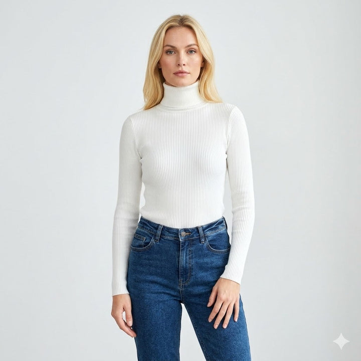 Vinnie | a Coste Turtleneck Knit Top